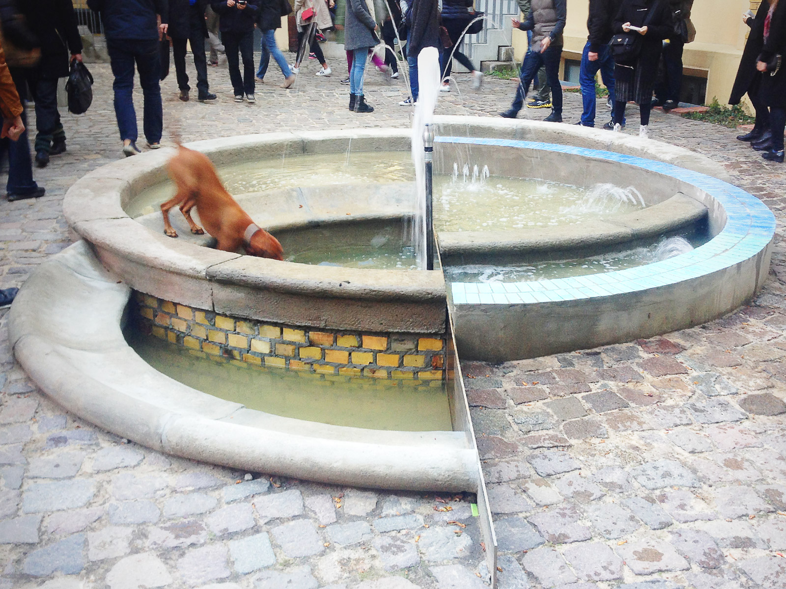 Fountain - neugerriemschneider . 2015